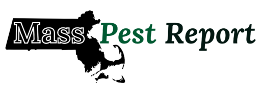 Mass Pest Report logo